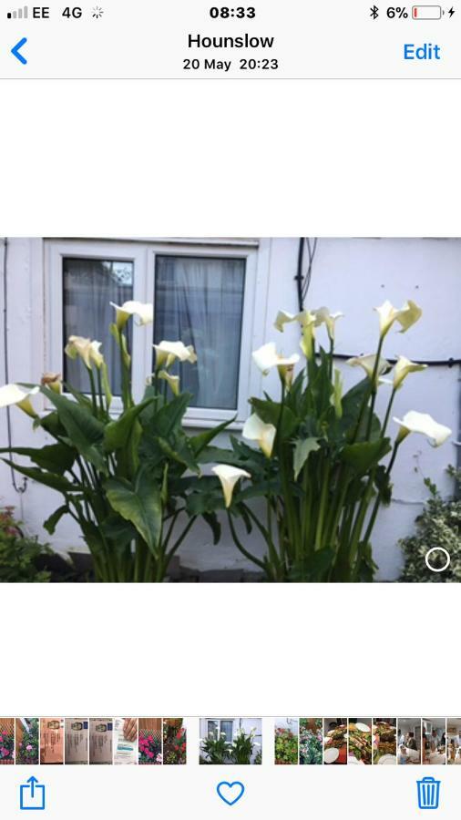 House Apartment Hounslow Ngoại thất bức ảnh